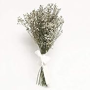 PANICULATA, la flor mas bonita del mundo. Ramo de paniculata seco natural.