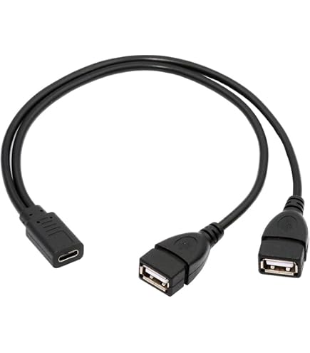 RIIEYOCA Cavo USB C Splitter 1 A 2 – Doppio Type-C Maschio, Lunghezza 30 Cm (1 Piede), Solo Ricarica - 2