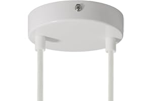 creative cables - Kit Rosace métallique cylindrique à Deux Trous - Cylindrique, Blanc Brillant