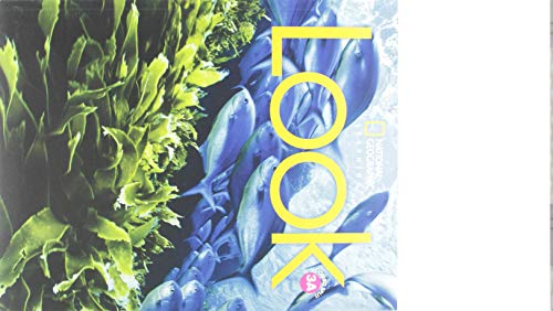 Look 3: Combo Split A