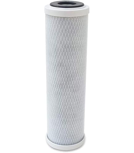 PCA Filtro Acqua 10" A Carboni Attivi 0,3 Micron - Rimuove Batteri, Cloro E Pesticidi, Portata 600 L/h