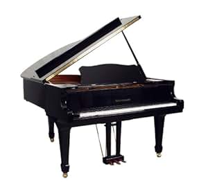 Steinmayer FS186 Flügel Schwarz Hochglanz: Amazon.de: Musikinstrumente