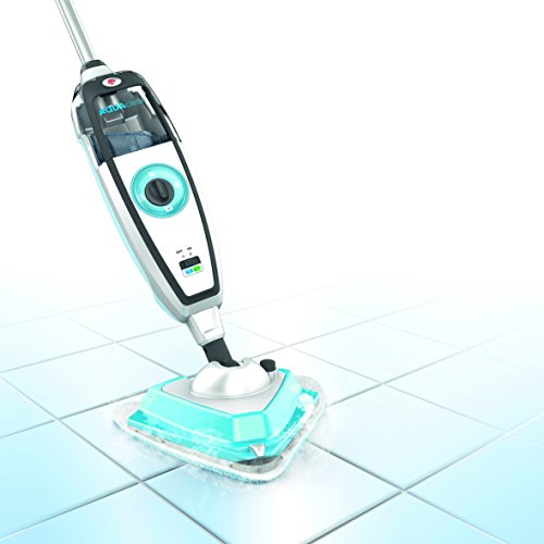 Dirt Devil DD301-0 AquaClean Dampfmop