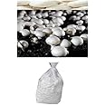BM MUSHROOMS Button Mushroom Spawn | Agaricus bisporus 200 gm + 2 PP Grow Bags | First Generation