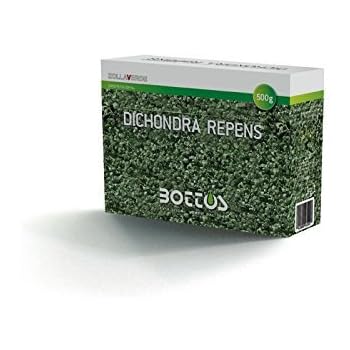 Sementi Prato Olimpia Bottos 5kg - Miscela Per Giardini Ombra/Sole | Tappeto Erboso Fitto E Denso - Foto 4