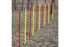 WUZZMANN Fun Agility Agility-ÜBUNGS-Slalom-Set ROT/GELB Flexible,RUNDE STANGEN