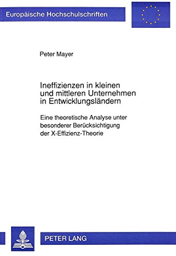 Ineffizienzen in kleinen und mittleren Unternehmen in Entwicklungsländern: Eine theoretische Analyse unter besonderer Berücksichtigung der ... (Europäische Hochschulschriften - Reihe V)