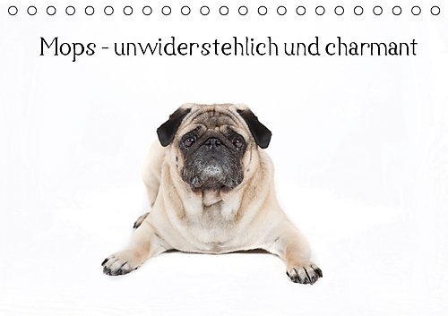 Mops - unwiderstehlich und charmant (Tischkalender 2017 DIN A5 quer): Dieser Kalender zeigt den Mops in verschiedenen Posen in einem reinweißem Kalender. (Monatskalender, 14 Seiten ) (CALVENDO Tiere)