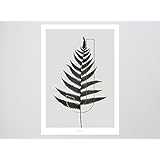 Kunstdruck Poster / ABC Plants – J