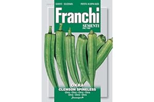 FRANCHI SEMENTI SEMENTI DI ORTAGGI DI QUALITA' PER USO HOBBYSTICO PROTETTE IN DOPPIA BUSTA (OKRA CLEMSON SPINELLES)