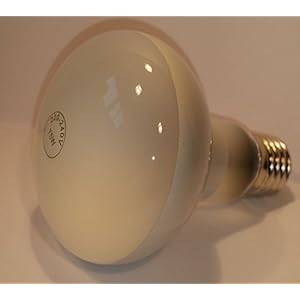 TerraMira 75 Watt Tageslicht Lampe (mit UVA)