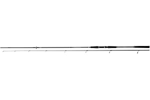 Daiwa Seahunter SURF, 100-250gram, Surf Fishing Rod