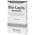 Protexin Bio-Lapis Rabbit & Small Animals 6 x 2g : Amazon.co.uk: Pet ...