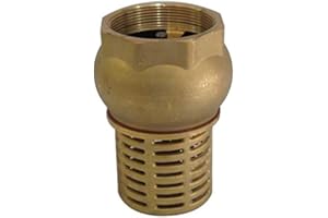 PLUMBING4HOME 2" BSP Female Check Foot Valve Suction Brass Non Return Valve for Pump