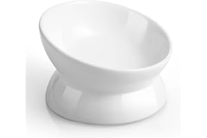 LoeJan Elevated Cat Food Bowl, 5 Oz Ceramic Raised and Tilted Pet Water Bowl, Anti Vomiting and Protect Pets' Spines Cat Dishes for Small Dog, Fat Faced Cat, Kitten (White, 1 Pack)