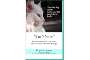 "I'm Home!" a Cat's Never Ending Love Story: Pets Past Lives, Animal Reincarnation, Animal Communication, Animals Soul Contracts, Animals Afterlife & Animals Spirits