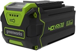 Greenworks Tools Batterie Lithium-ION 40 V 5 Ah pour Tondeuse à Gazon, Taille-Haies, tronçonneuse, souffleur à Feuilles