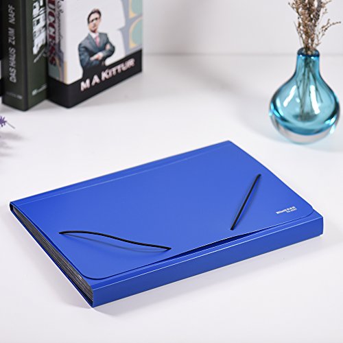 Carpeta expandible aibecy  tama  o A4 Legal Carta  13 bolsillos  para clasificar  organizar  cubierta para documentos de Impuestos  factura declaraciones  informes  pruebas  color verde  color azul