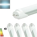 VIELSEITIG: Die LED Neonröhre sind für alle Räume Ihrer Wohnung hervorragend geeignet. Das moderne Design und die vielen Anwendungsmöglichkeiten der LED Röhren bieten Ihnen einen Menge Spielraum für Ihre Ideen an