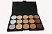 ARPAN 15 COLOURS 3D RADIANCE CONCEALER PALETTE