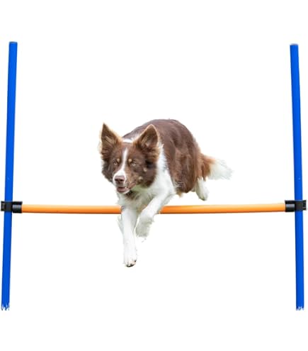 Cônes Slalom Multifonctions Lot De 4 Obstacles RHINOS Sports - 8 Cônes Jaunes 22.5cm Et 4 Barres Rouges 1m | Pour Football, équitation Et Agility Kit Cônes Barres Sport Cônes Slalom Multifonctions Lot De 4 Obstacles RHINOS Sports - 8 Cônes Jaunes 22.5cm Et 4 Barres Rouges 1m | Pour Football, équitation Et Agility Kit Cônes Barres Sport