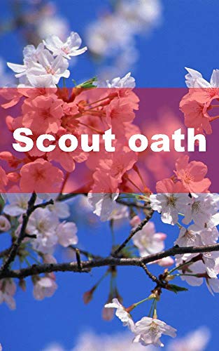 Scout oath (Icelandic Edition)