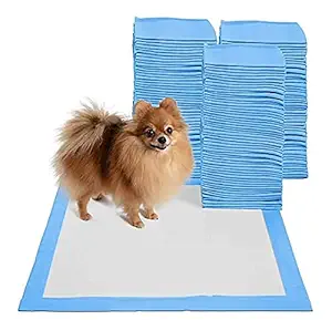 RvPaws Puppy Training Pee Pads Pet Potty Training Pads for Puppy & Dog 10 Pcs