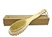 AECHOO Natural Long Handled Body Shower Back Bristle Bath Brush Scrubber & Massager, Effective For Wet And Dry Body Brushing Suitable For Men And Women