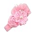 Produktbild Newin Star Haarreif Baby, Blumen-für das Haar Band Baby Geschenke für Neugeborene (Rosa)