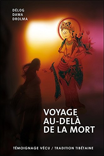 Télécharger Voyage au-delà de la mort : Témoignage vécu, tradition tibétaine PDF