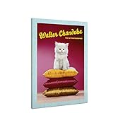 Image de Walter Chandoha: The Cat Photographer