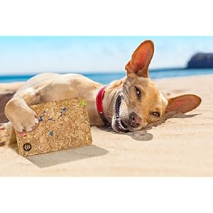 Money Smart Vegan Cruelty Free Non Leather Wallet for Women, Made of Cork with RFID Protection, with Slots for Notes, Cards, IDs and Pocket for Coins