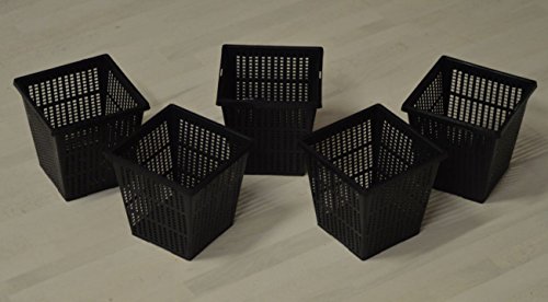 Teich PE Pflanzkorb schwarz 11 x 11 cm Pflanzhilfe Teichpflanzen (5)