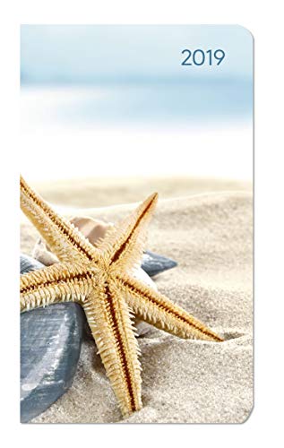 Ladytimer Slim Sea Star 2019 - Taschenplaner / Taschenkalender (9 x 16) - Weekly - 128 Seiten - Notizen
