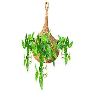 LIVEONCE nest Pot Coir Made Planter Hanging Set of 1 Used AS Railing planters,Hanging planters,Poly Grow Bags,Plant Stands,Plastic pots,Desk pots,Clay pots,Ceramic pots