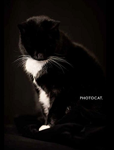 PhotoCat en ligne