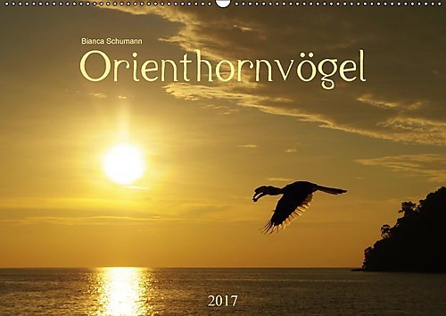 OrienthornvögelCH-Version (Wandkalender 2017 DIN A2 quer): Liebenswerte Gesellen in freier Natur (Monatskalender, 14 Seiten ) (CALVENDO Tiere)