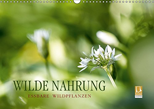 Preisvergleich Produktbild WILDE NAHRUNGAT-Version (Wandkalender 2019 DIN A3 quer): Essbare Wildpflanzen: faszinierend, gesundheitsfördernd und artenreich. (Monatskalender, 14 Seiten ) (CALVENDO Lifestyle)