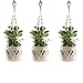 Produktbild 3 Stück Pflanze Aufhänger Handarbeit Classic Makramee Baumwolle Seil 4 Beine für Blumenampel Halterung Flower Pot Indoor Oder Outdoor mit 3 Haken von Juzi - 177,8 cm (weiß)
