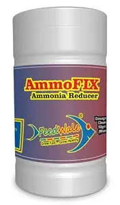 FeedWale AmmoFIX Ammonia Reducer 1Kg ? Removes Gas from BioFloc Tanks & Fish Ponds Maintains Water Quality in Aquaculture