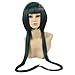 Produktbild HOOLAZA Dark Green Long Straight mit 2 Pigtails Cosplay Perücke Hitman Reborn Black Spell Cosplay Perücke