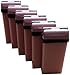 Beauty Image Champagne Strawberry Warm Wax Roll On - Pack of 6