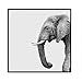 Produktbild CHAI Mural Wandbild 3D Schwarz-Weiß-Elefant nordischen Stil abstrakte dekorative Malerei Schlafzimmer Nachttisch Malerei (größe : 40X40cm)