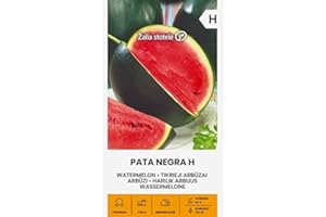 ŽALIA STOTELĖ Zalia stotele | SANDIA PATA NEGRA H Semillas | Semillas de hortalizas | Semillas de sandia | Semillas de plantas | Semillas de jardín | 1 paquete