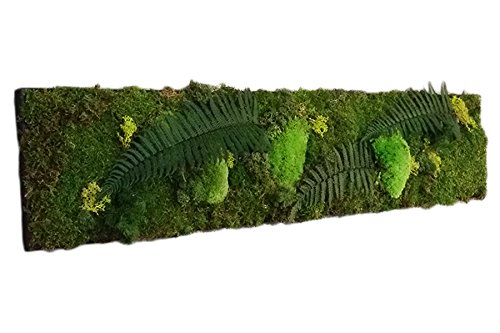 TABLEAU VÉGÉTAL STABILISÉ 90 X 30 cm