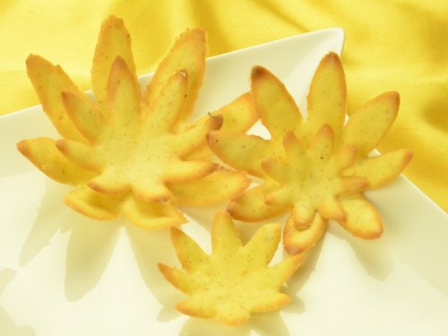 Preisvergleich Produktbild Hippenschablonen Seerose 5-teilig