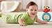 Fisher Price Baby Toy - Laugh and Learn - Puppy's Crawl Along Ball - 25 Sing Along Songs