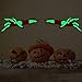 Produktbild vovo Vovotrade Halloween selbstklebenden fluoreszierenden Halloween Wandsticker Leuchten im Dunkeln Home Fluoreszierende Leuchten in der Dunklen Dekoration Wandaufkleber (Mehrfarbig)