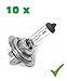 Produktbild PRAKTISCHES 10er SET! (Grundpreis: 2,00EUR/Stk) 10 x H7 12V 55W PX26d Glühlampe Glühbirne Scheinwerfer-Lampe Halogen-Lampe Auto-Lampe
