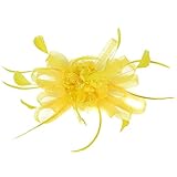 Damen Fascinators Hut Blume Mesh Bänder Federn auf einem Stirnband Haarspange, LEEDY Retro 20er Jahre Hair Clip Haarnadel Gericht Haarband Party Headwear Stirnbänder Great Kostüm Kopfbedeckung